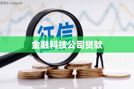 贞丰金融科技公司贷款