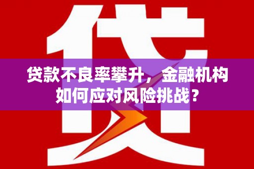 贞丰贷款不良率攀升，金融机构如何应对风险挑战？