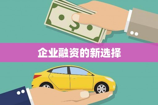 贞丰企业融资的新选择