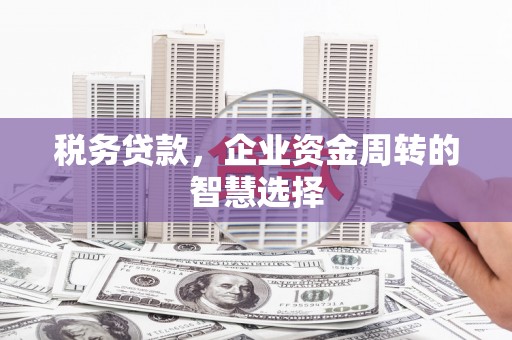 贞丰税务贷款，企业资金周转的智慧选择