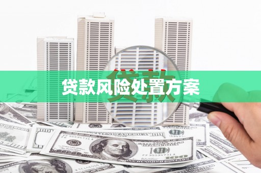 贞丰贷款风险处置方案