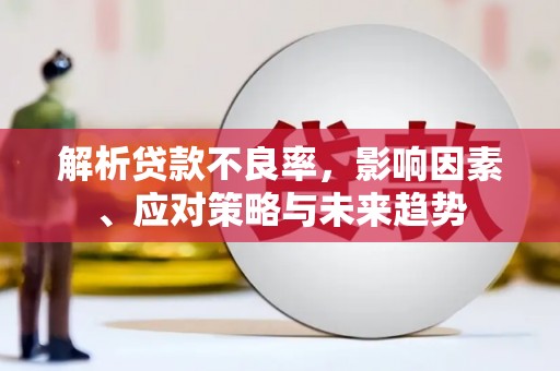 贞丰解析贷款不良率，影响因素、应对策略与未来趋势