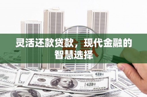 贞丰灵活还款贷款，现代金融的智慧选择