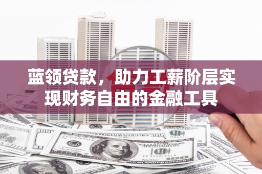 贞丰蓝领贷款，助力工薪阶层实现财务自由的金融工具