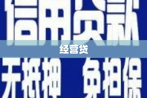 贞丰经营贷