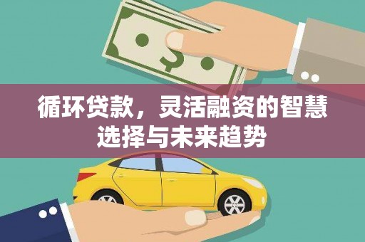 贞丰循环贷款，灵活融资的智慧选择与未来趋势