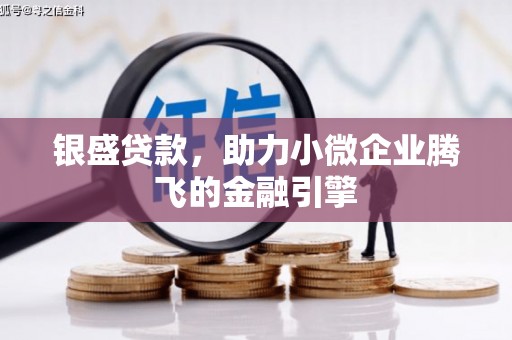 贞丰银盛贷款，助力小微企业腾飞的金融引擎