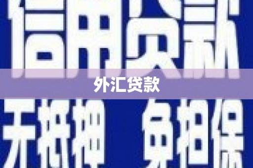 贞丰外汇贷款