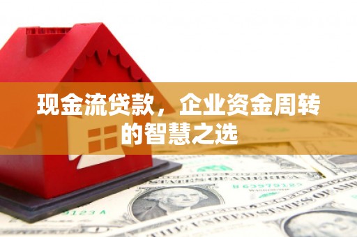 贞丰现金流贷款，企业资金周转的智慧之选