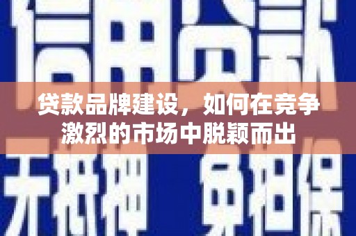贞丰贷款品牌建设，如何在竞争激烈的市场中脱颖而出