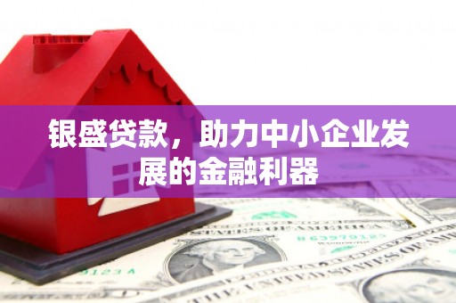 贞丰银盛贷款，助力中小企业发展的金融利器