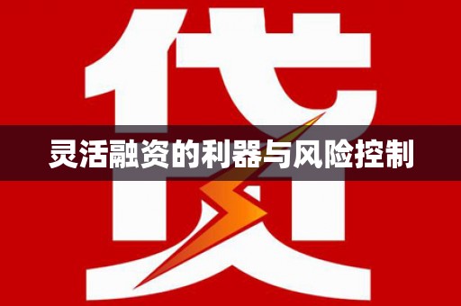 贞丰灵活融资的利器与风险控制