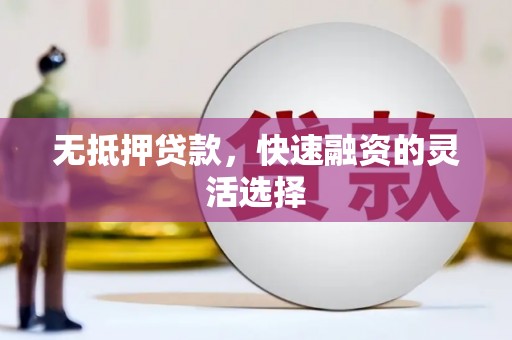 贞丰无抵押贷款，快速融资的灵活选择