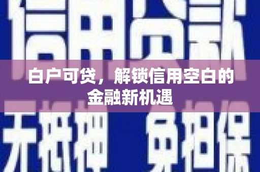贞丰白户可贷，解锁信用空白的金融新机遇