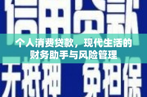 贞丰个人消费贷款，现代生活的财务助手与风险管理