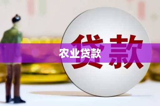 贞丰农业贷款