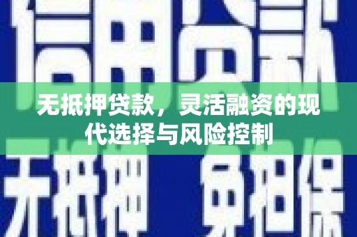 贞丰无抵押贷款，灵活融资的现代选择与风险控制