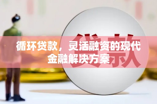 贞丰循环贷款，灵活融资的现代金融解决方案
