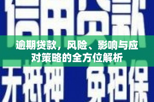贞丰逾期贷款，风险、影响与应对策略的全方位解析