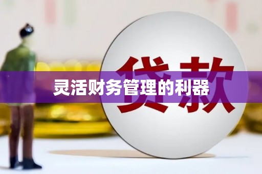 贞丰灵活财务管理的利器