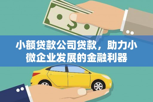 贞丰小额贷款公司贷款，助力小微企业发展的金融利器
