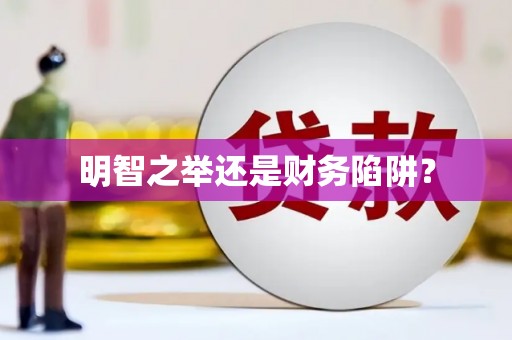 贞丰明智之举还是财务陷阱？