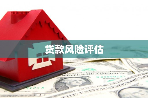 贞丰贷款风险评估