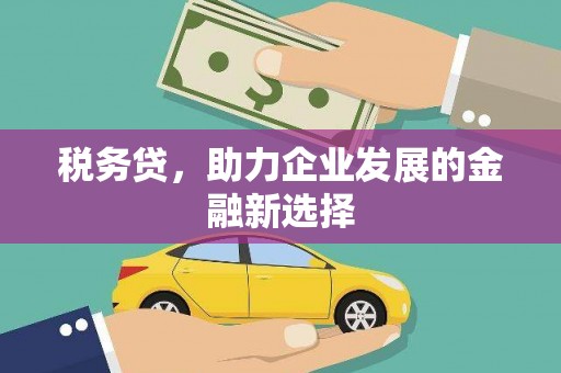 贞丰税务贷，助力企业发展的金融新选择