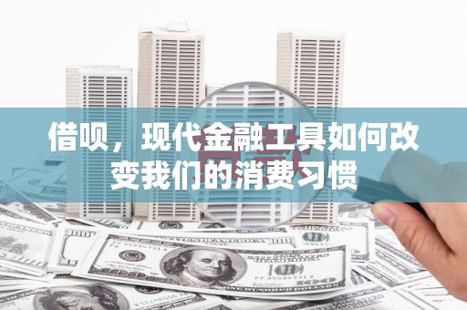 贞丰借呗，现代金融工具如何改变我们的消费习惯