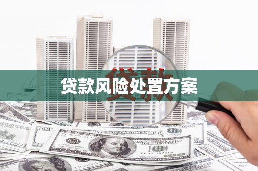 贞丰贷款风险处置方案