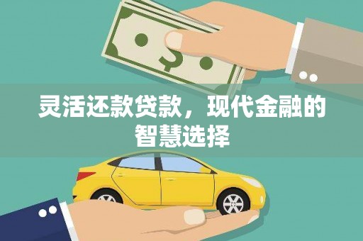 贞丰灵活还款贷款，现代金融的智慧选择