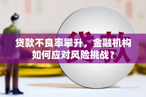 贞丰贷款不良率攀升，金融机构如何应对风险挑战？