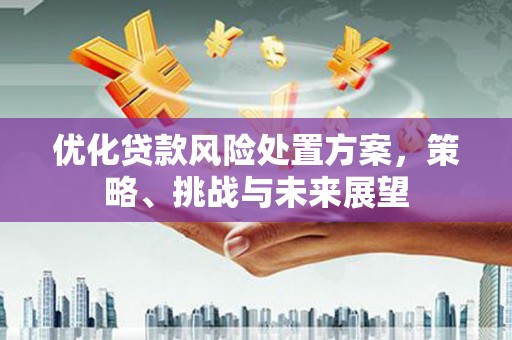 贞丰优化贷款风险处置方案，策略、挑战与未来展望