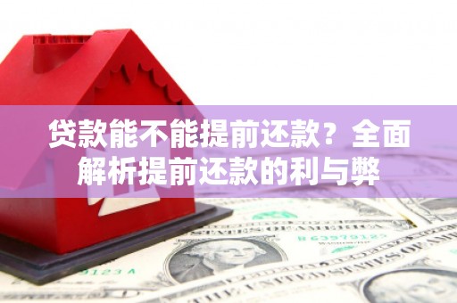 贞丰贷款能不能提前还款？全面解析提前还款的利与弊