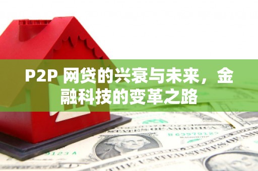 贞丰P2P 网贷的兴衰与未来，金融科技的变革之路