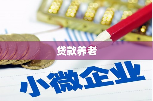 贞丰贷款养老