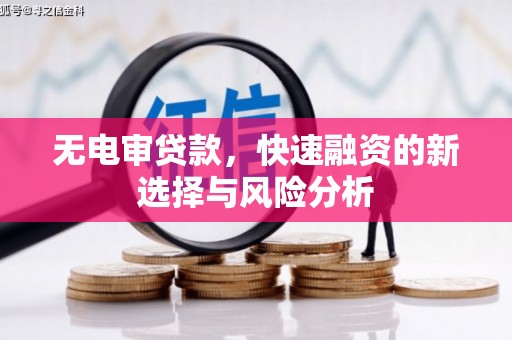 贞丰无电审贷款，快速融资的新选择与风险分析