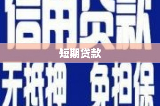 贞丰短期贷款