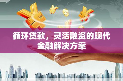 贞丰循环贷款，灵活融资的现代金融解决方案
