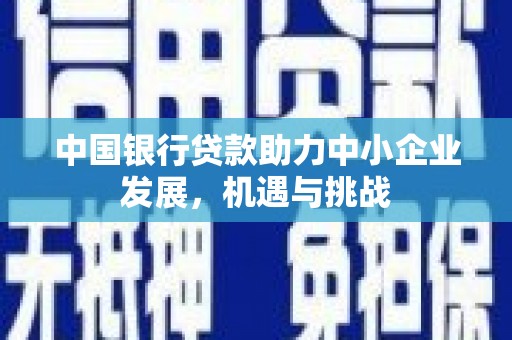 贞丰中国银行贷款助力中小企业发展，机遇与挑战