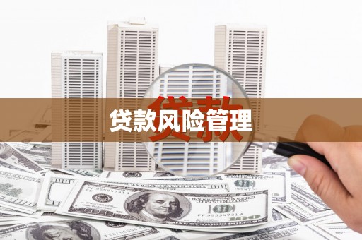 贞丰贷款风险管理