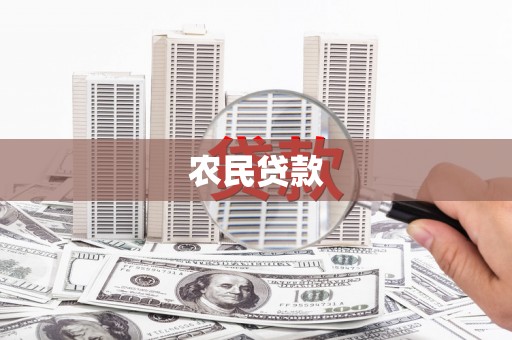贞丰农民贷款