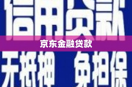 贞丰京东金融贷款