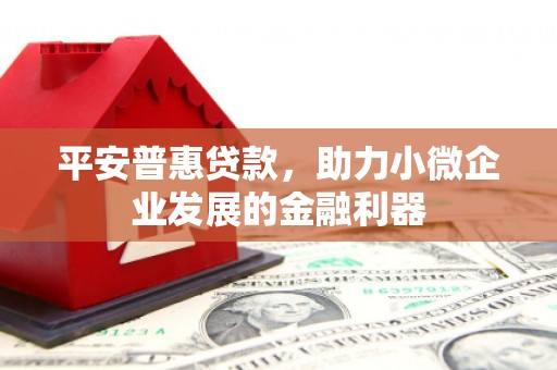 贞丰平安普惠贷款，助力小微企业发展的金融利器