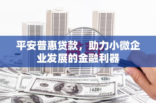 贞丰平安普惠贷款，助力小微企业发展的金融利器