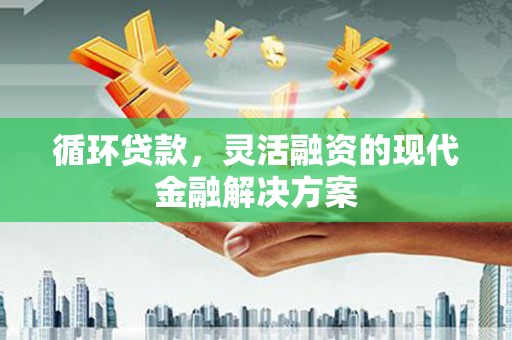 贞丰循环贷款，灵活融资的现代金融解决方案