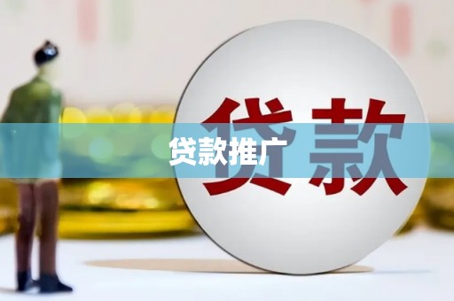 贞丰贷款推广