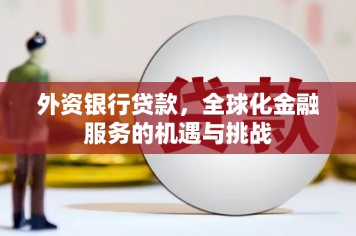 贞丰外资银行贷款，全球化金融服务的机遇与挑战