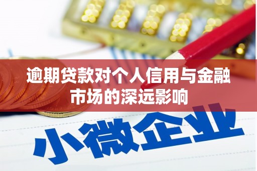 贞丰逾期贷款对个人信用与金融市场的深远影响