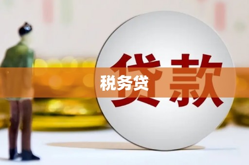 贞丰税务贷